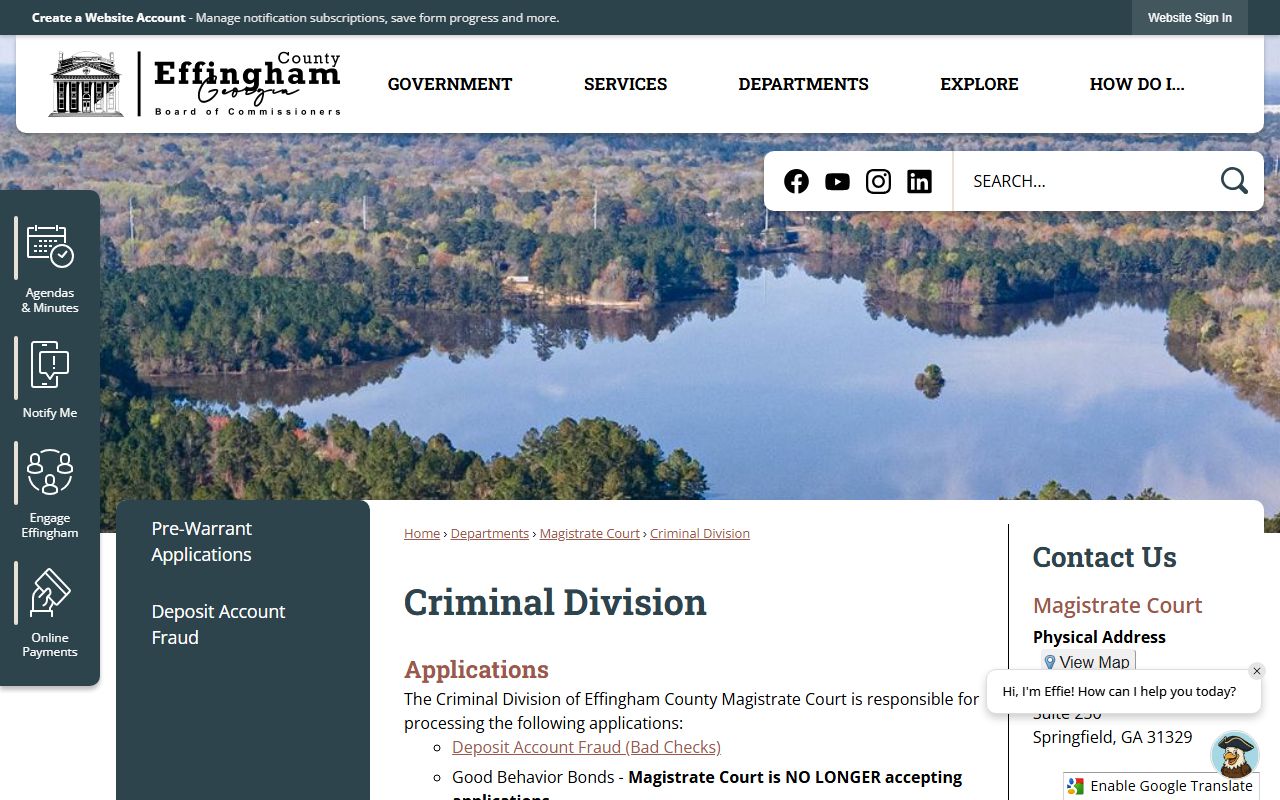 Effingham County criminal court records Magistrate Criminal Division page