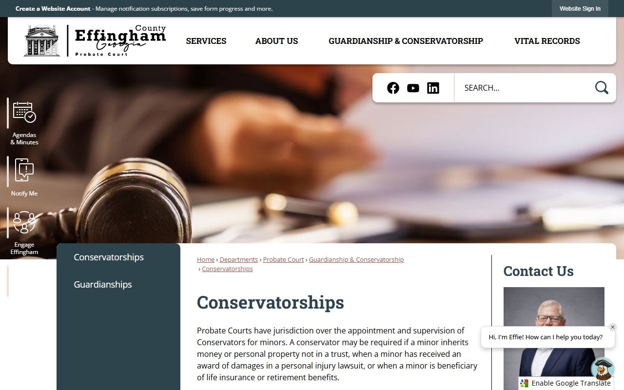 Effingham County probate records conservatorship requirements