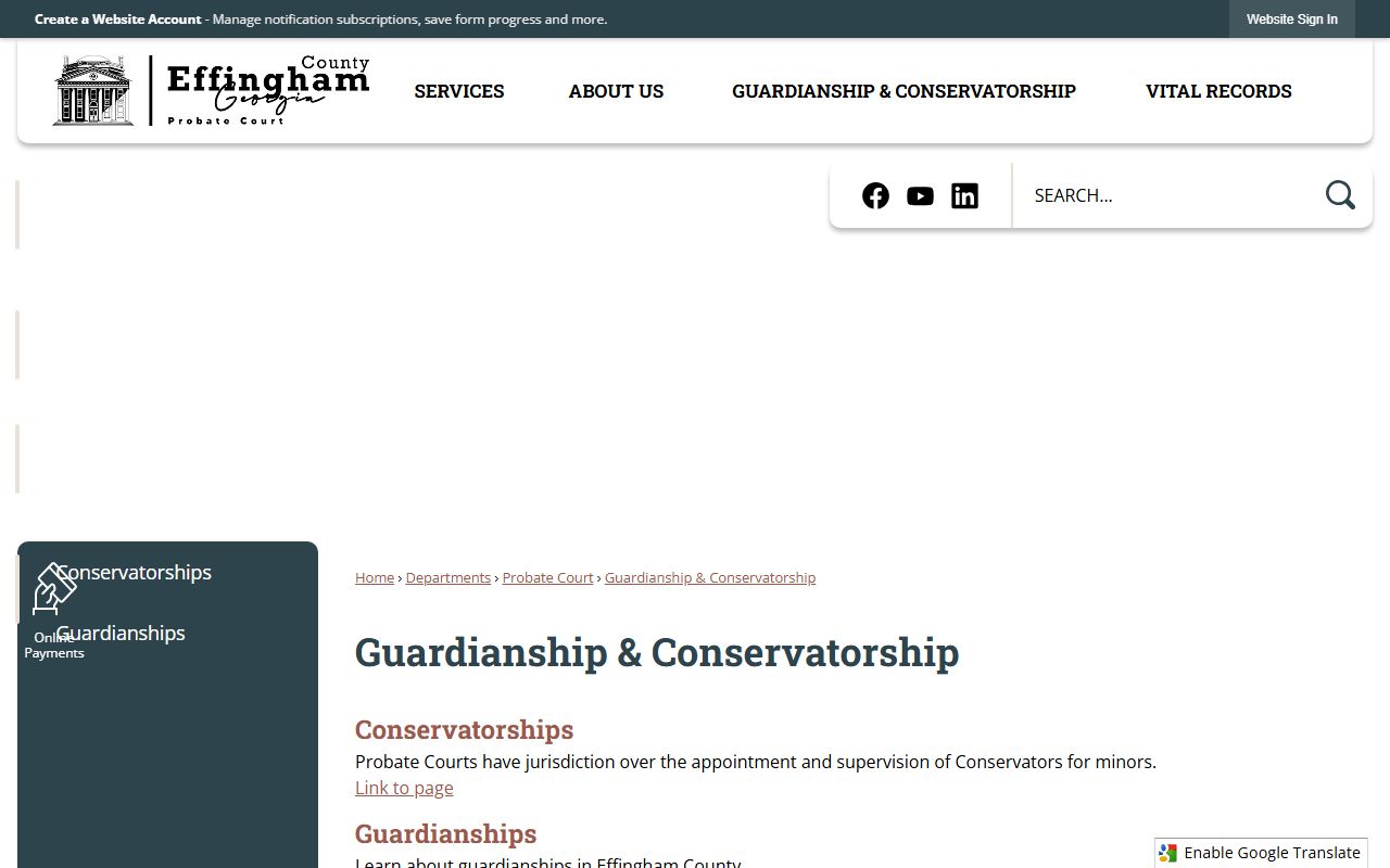 Effingham County probate records guardianship and conservatorship page