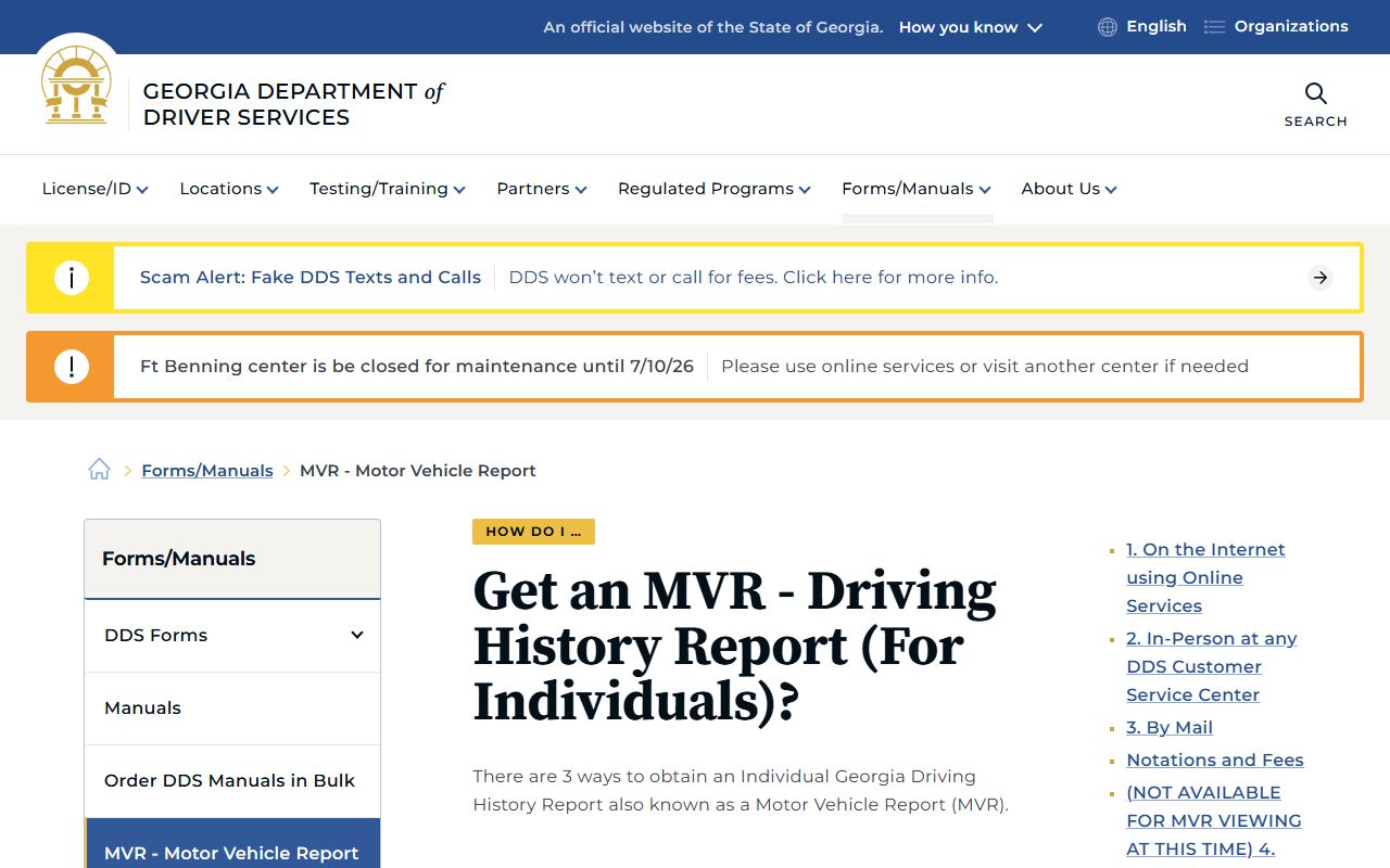 Effingham County traffic court records Georgia DDS motor vehicle report