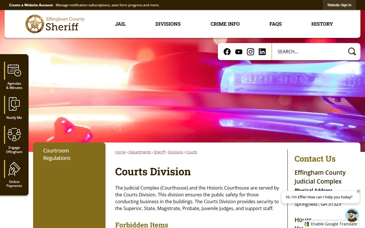 Effingham County warrant records sheriff courts division